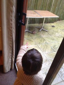 Center Parcs Winfell Forest – Cumbria