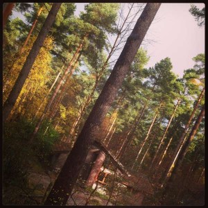 Center Parcs Winfell Forest – Cumbria