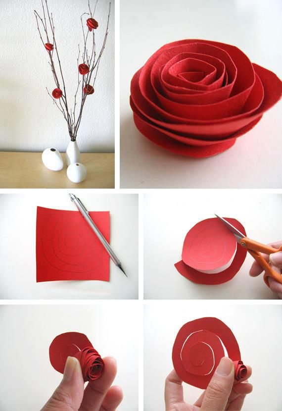 The most simplistic roses!