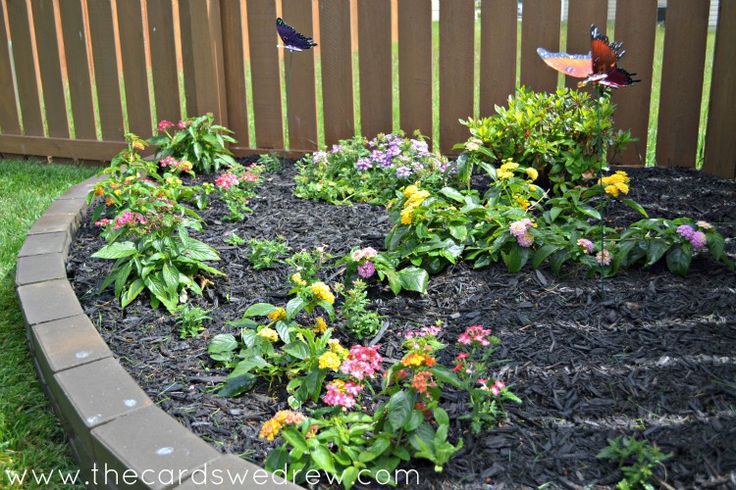 A great way to get kids involved in the garden is to have a beautiful butterfly garden. Kids love starting at butterflies and they are wonderful for your garden too! #gardens #exteriordesign #kids #childrensgardens