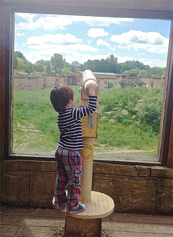Zoo visit via Toby & Roo :: daily inspirations for parents and their kids.