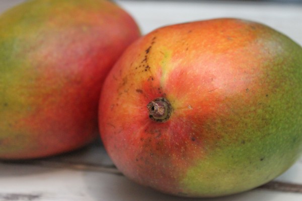 Pregnancy Diaries :: Week 23 via Toby & Roo :: daily inspiration for stylish parents and their kids.