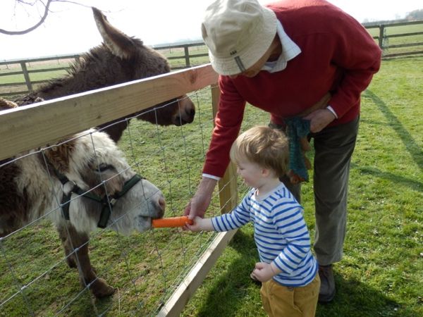 The benefits of having pets with young kids via Toby & Roo :: daily inspiration for stylish parents and their kids.