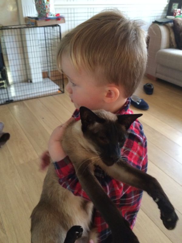 The benefits of having pets with young kids via Toby & Roo :: daily inspiration for stylish parents and their kids.