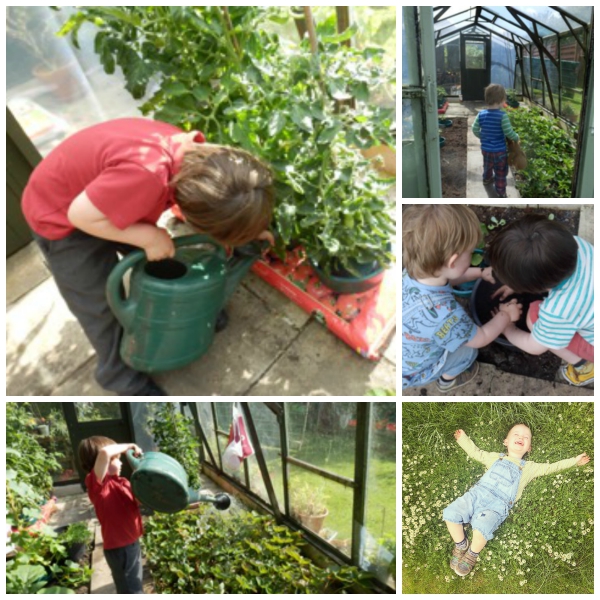 There is something so lovely about watching your children grow their own produce, give it a go and then help them cook something wonderful!