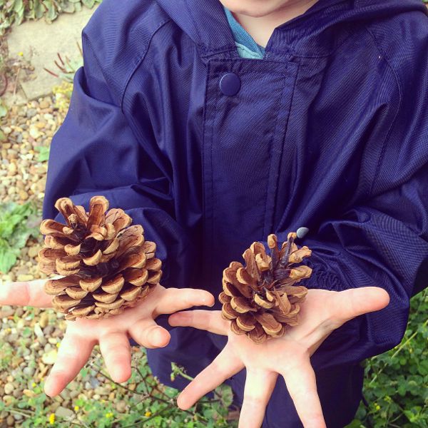 Pine cone Christmas trees :: Autumn crafts for toddlers via Toby & Roo :: daily inspiration for stylish parents and their kids.