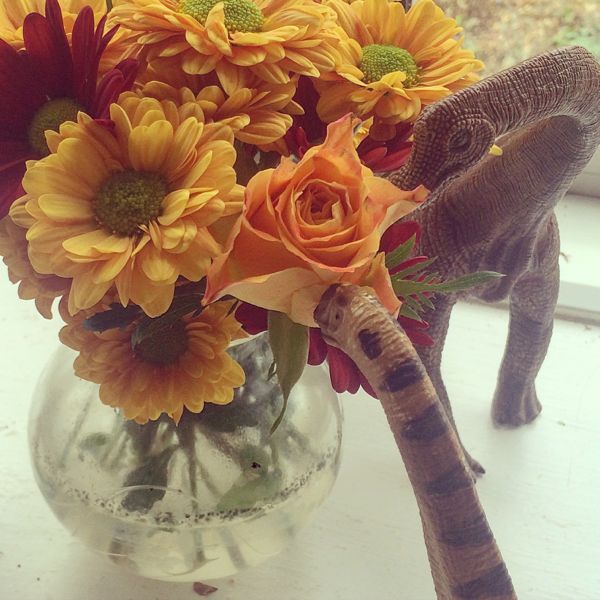 Dinovember by Toby & Roo on instagram via Toby & Roo :: daily inspiration for stylish parents and their kids.