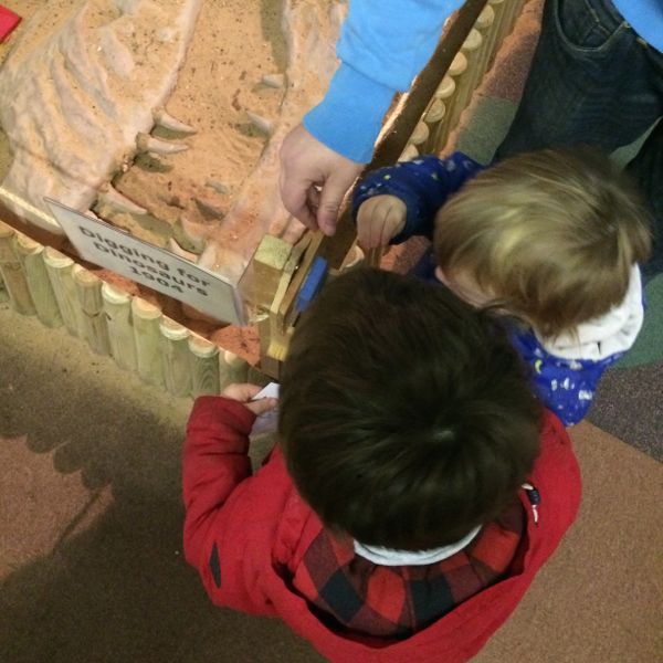 Smelling what the swamplands smelt like in Dinosaur time...