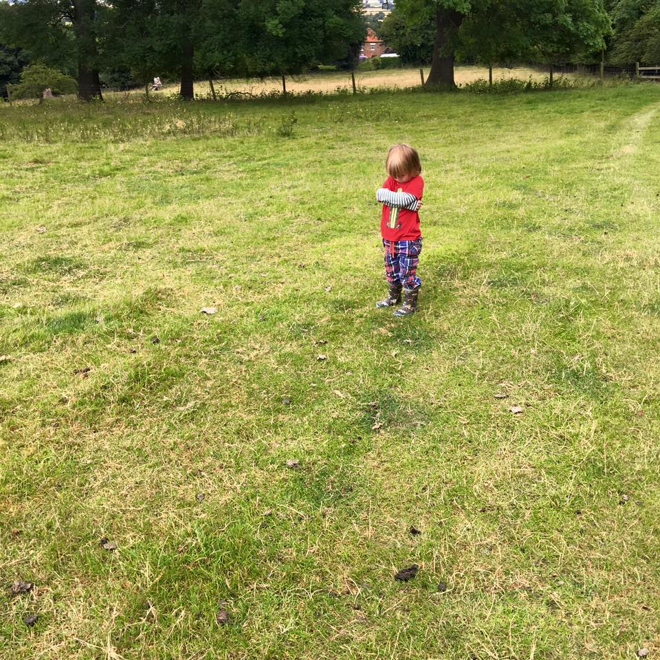 13876371_626775454145792_9150701357466302232_n