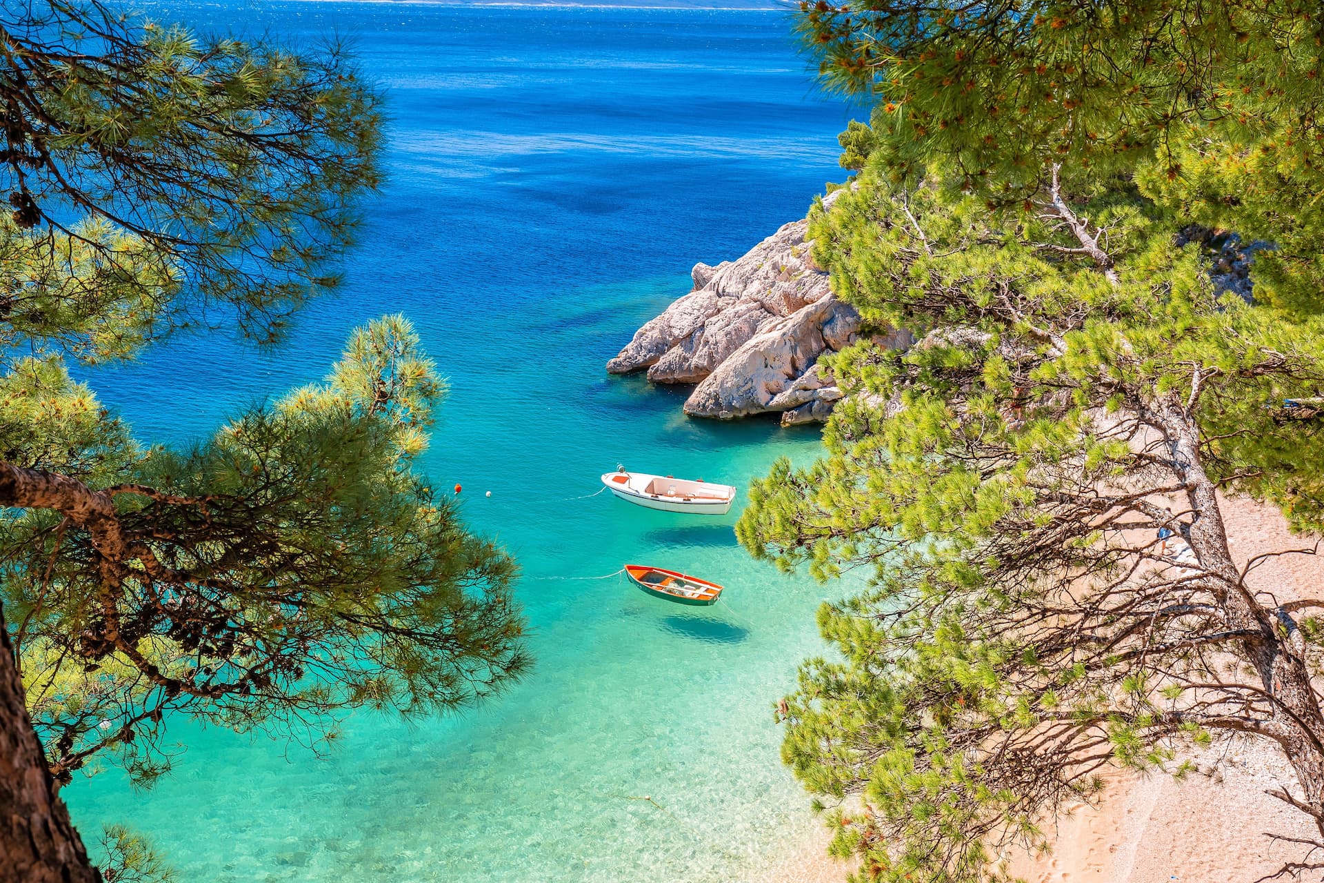 Transform Your Home: Nature-Inspired Wall Designs for a Refreshing